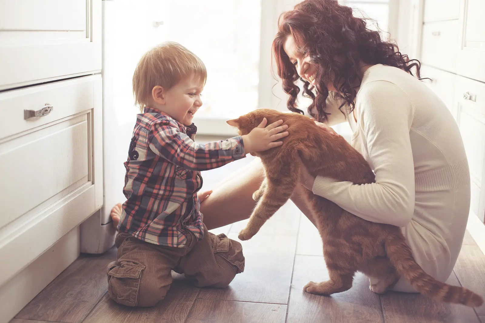 Pet-Friendly Rentals in San Antonio: How Landlords Can Protect Their Property and Boost ROI